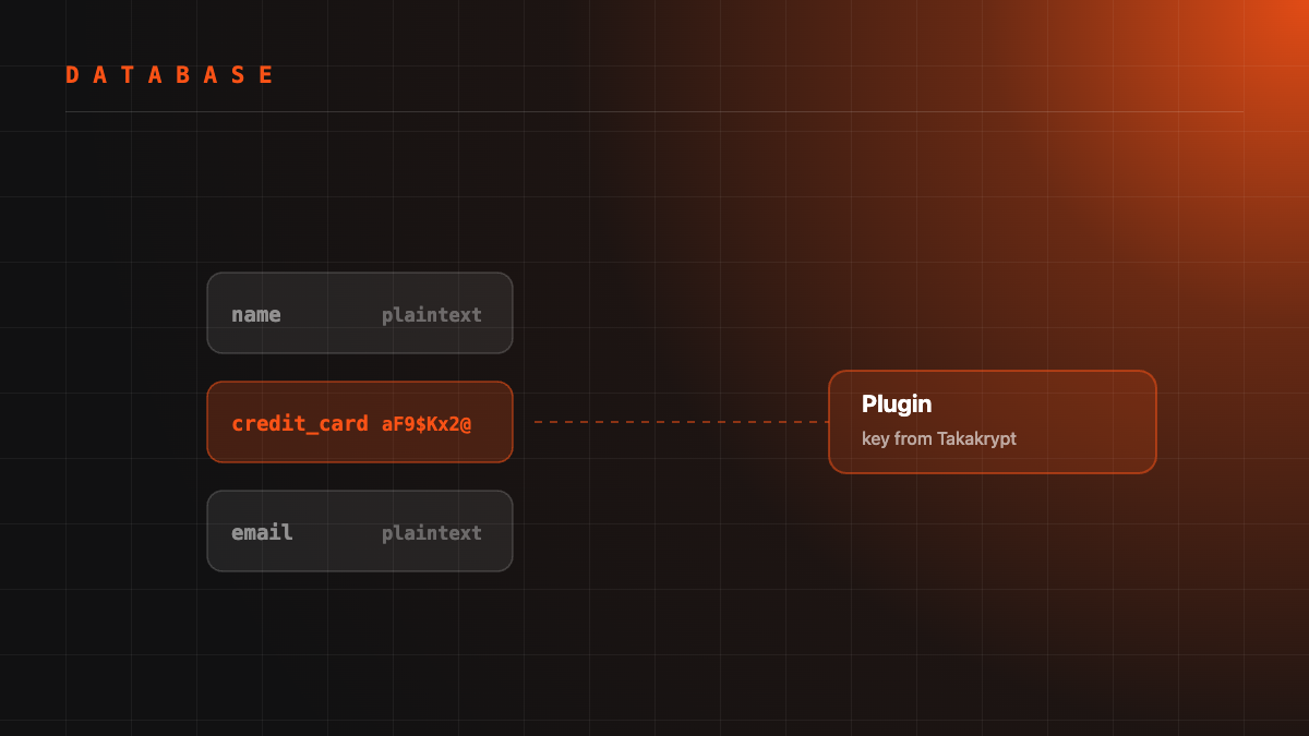 Protecting an Existing Database Without Touching the Application