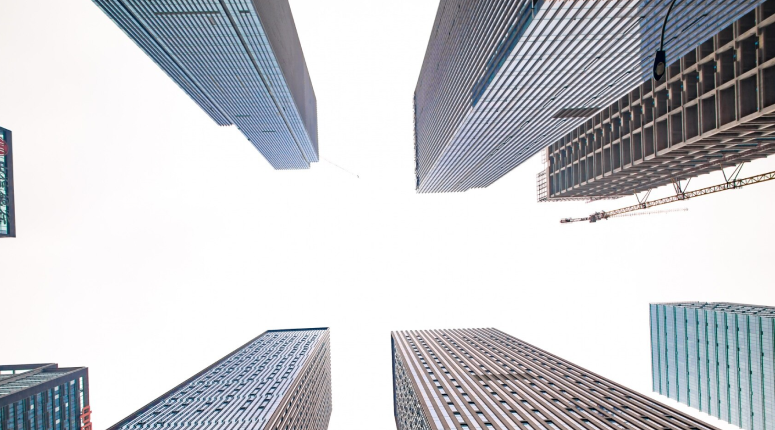 Enterprise & Large Organizations